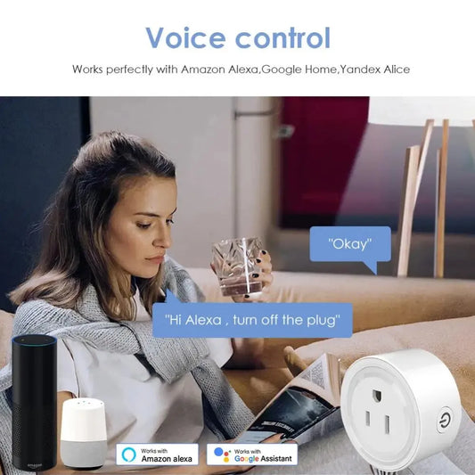 Smart Home Plug