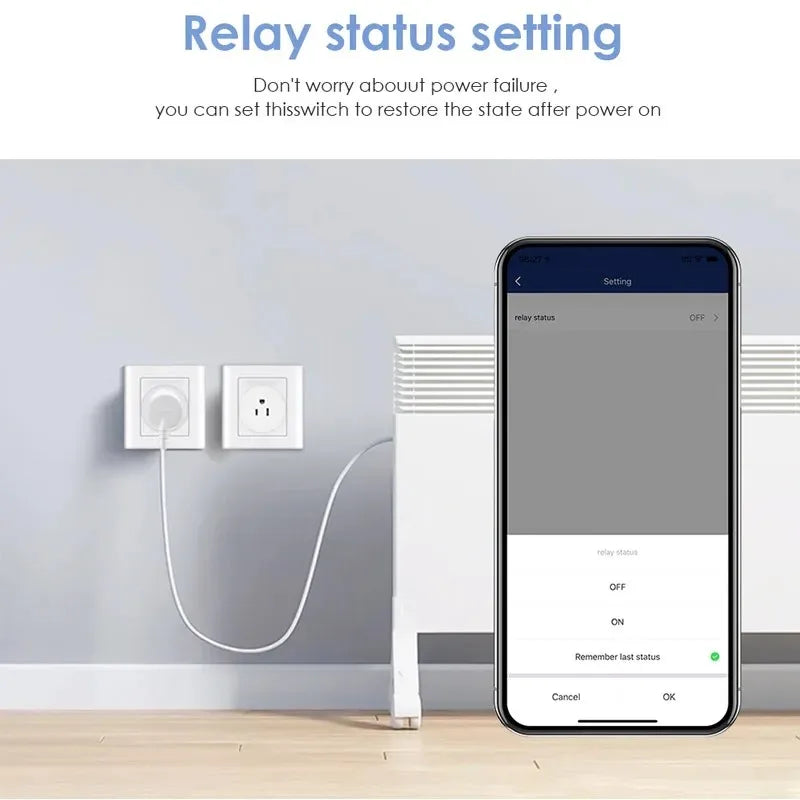 Smart Home Plug